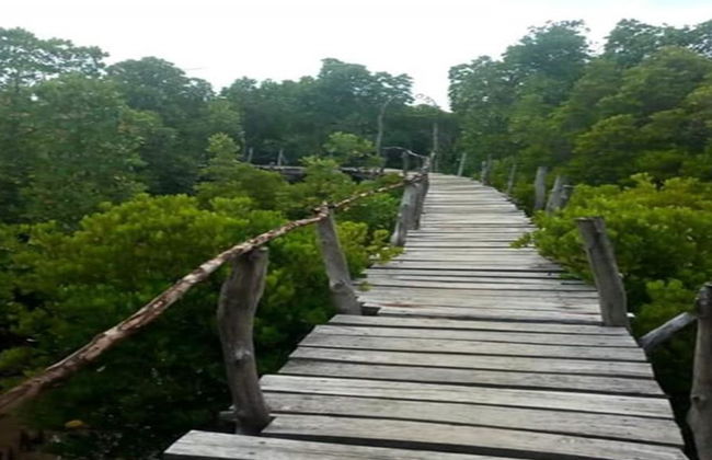 Ganztagesausflug nach Wasini Island und Kisite Sea Adventure - Foto 2
